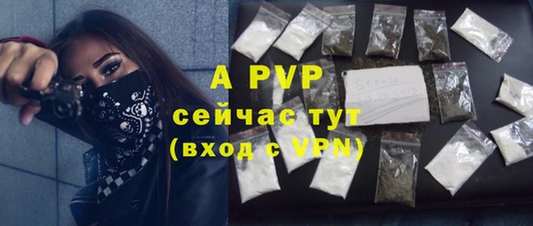ПСИЛОЦИБИНОВЫЕ ГРИБЫ Беломорск