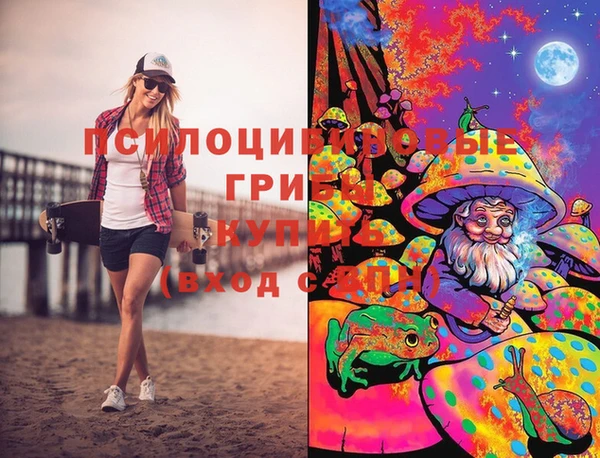 ПСИЛОЦИБИНОВЫЕ ГРИБЫ Белоозёрский