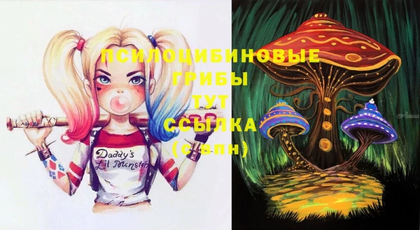 ПСИЛОЦИБИНОВЫЕ ГРИБЫ Беломорск