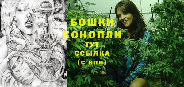 ПСИЛОЦИБИНОВЫЕ ГРИБЫ Белоозёрский