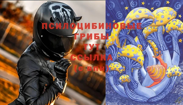 ПСИЛОЦИБИНОВЫЕ ГРИБЫ Беломорск