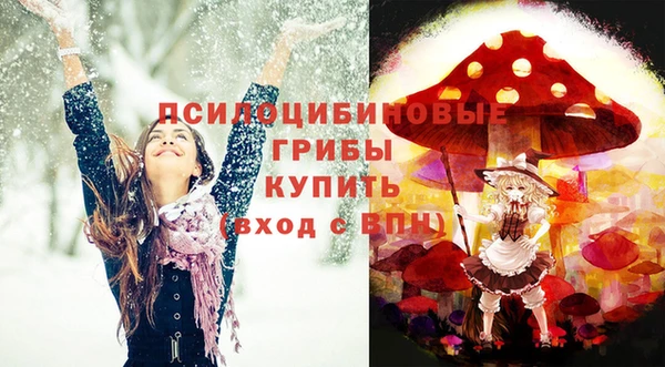 ПСИЛОЦИБИНОВЫЕ ГРИБЫ Беломорск